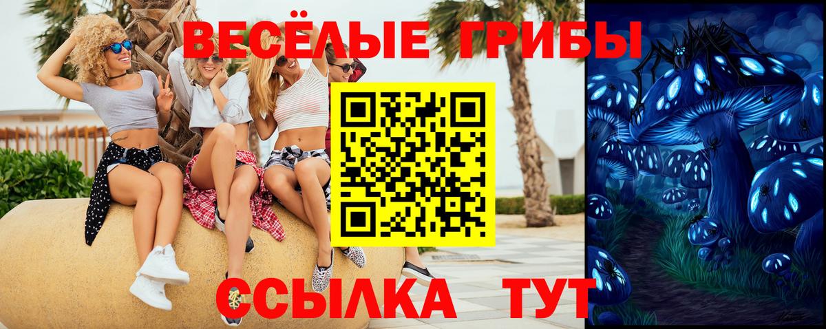 Псилоцибиновые грибы прущие грибы  Галлюциногенные грибы GOLDEN TEACHER  Вход с VPN  Батайск 